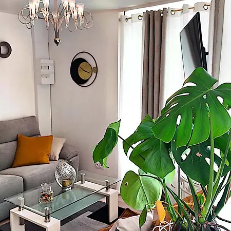 Apartamento L'écrin 1chambre *